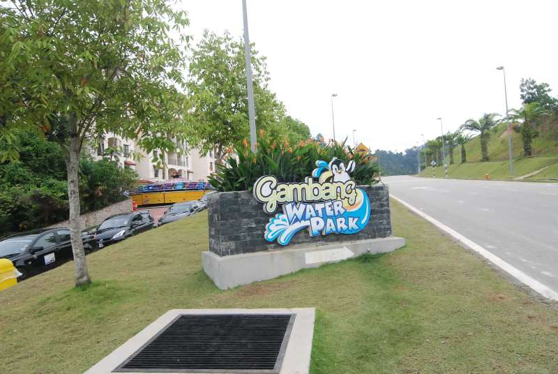 DSC 5919